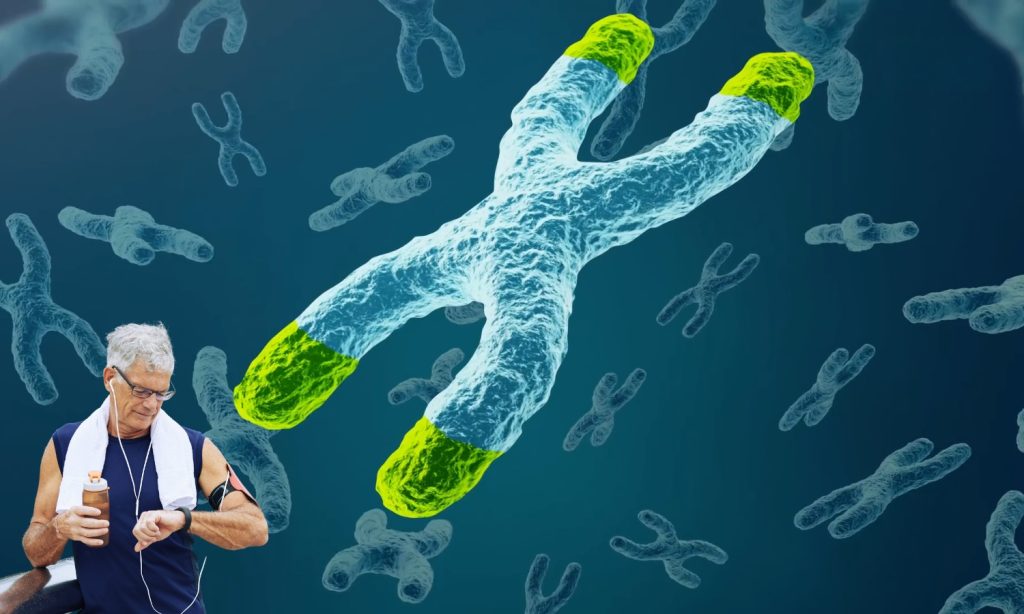 Vežbanje kao podrška u borbi protiv starenja